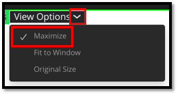 View Options Maximize.png