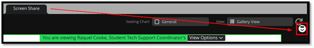 Toggle in Screenshare.png