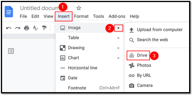 InsertZoomyGoogleDoc.png