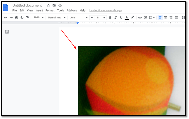 ZoomyShownInsertedOnGoogleDoc.png