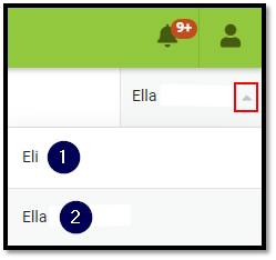 ICMultStudents.png