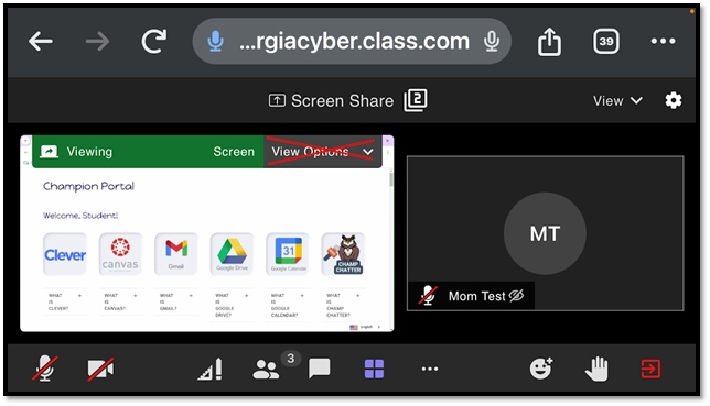 Screenshare landscape.png
