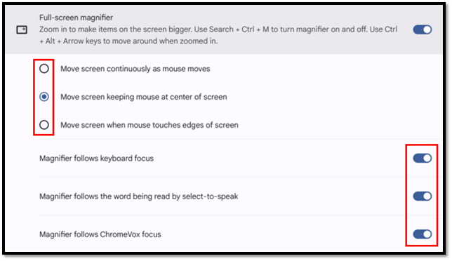 Magnifier options.png