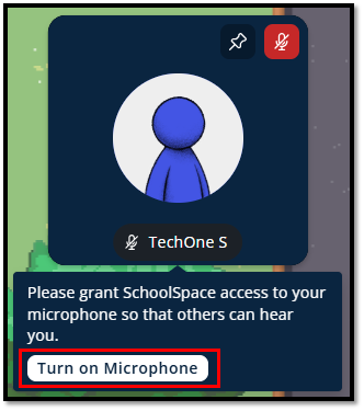 SS Turn on mic.png