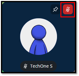 SS Mute and unMute.png