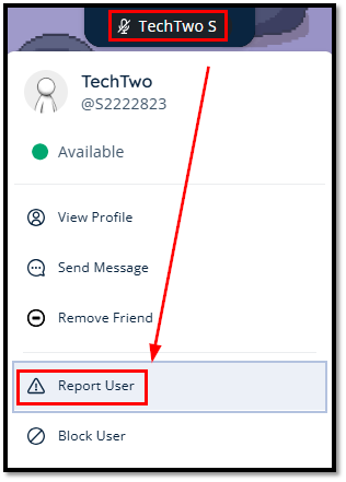 SS Report user.png