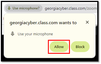 Allow Mic in browser.png