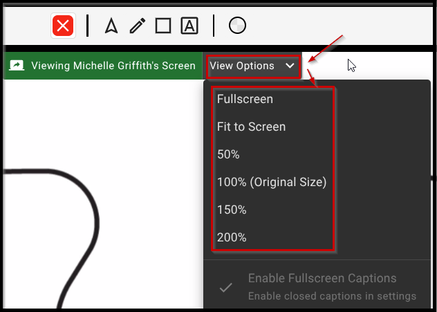 annotations view options.png