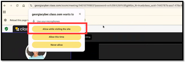 Allow the Camera while Visiting the Site.png