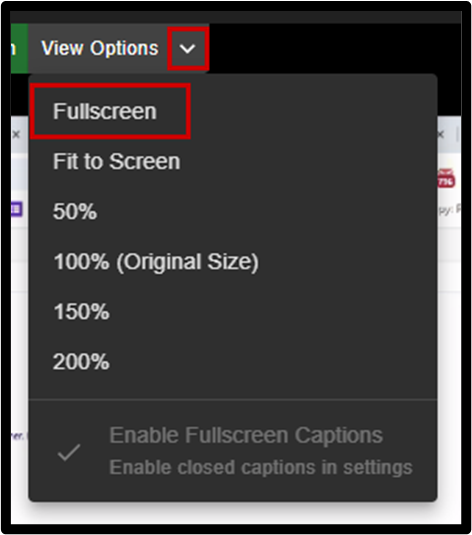 view options.png