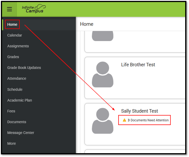 FIF as document in student profile.png