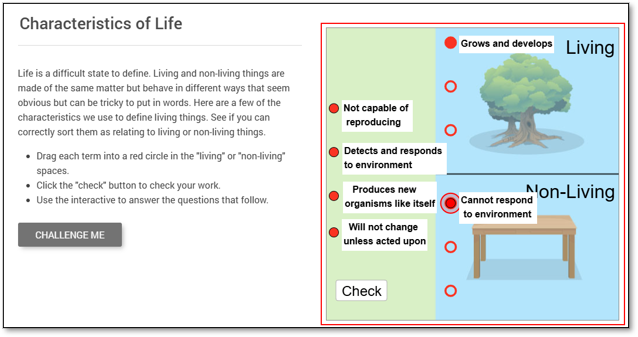 ungraded activity.png