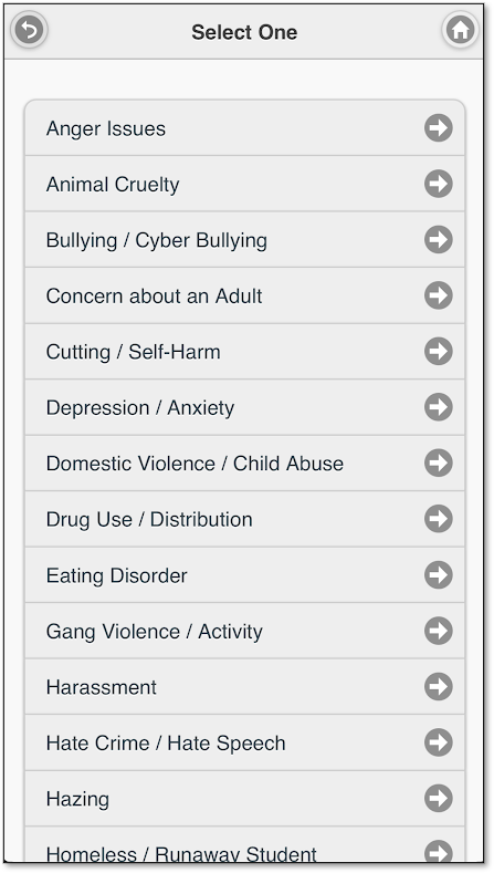 Issues list.png
